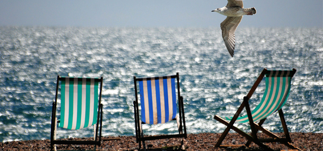 Advice for Homeowners This Summer Advice for Homeowners This Summer