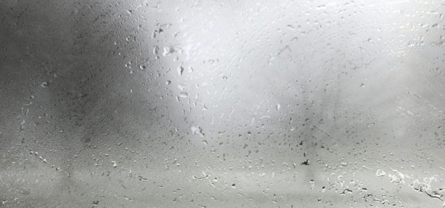Damp and Condensation Advice for Tenants Damp and Condensation Advice for Tenants